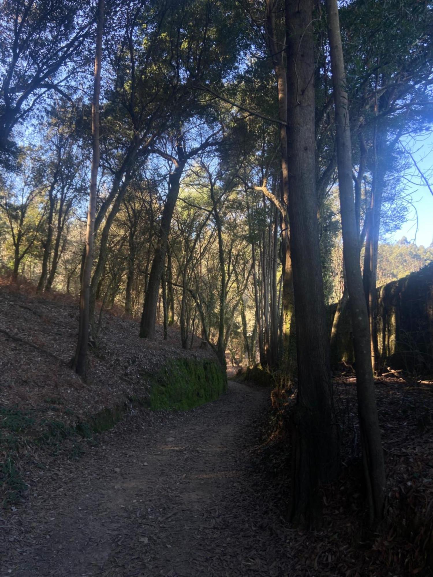 Вілла Quinta Do Senhor Брага Екстер'єр фото