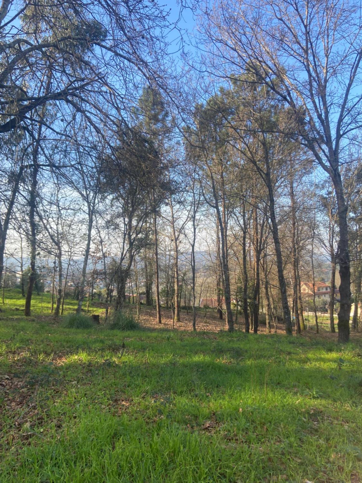 Вілла Quinta Do Senhor Брага Екстер'єр фото