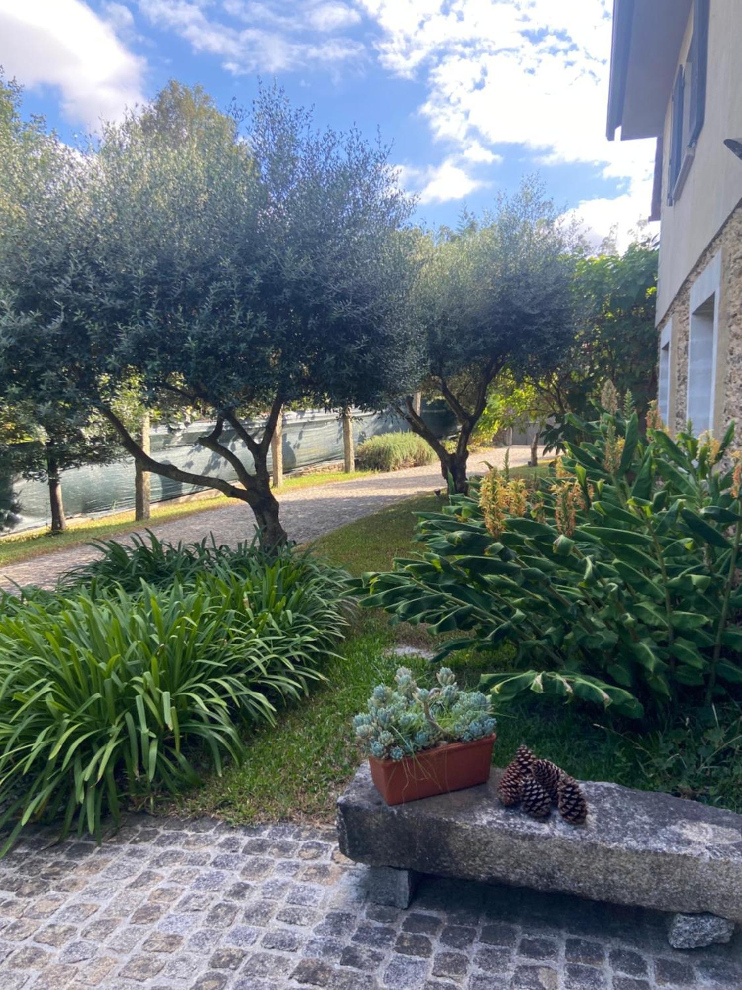 Вілла Quinta Do Senhor Брага Екстер'єр фото