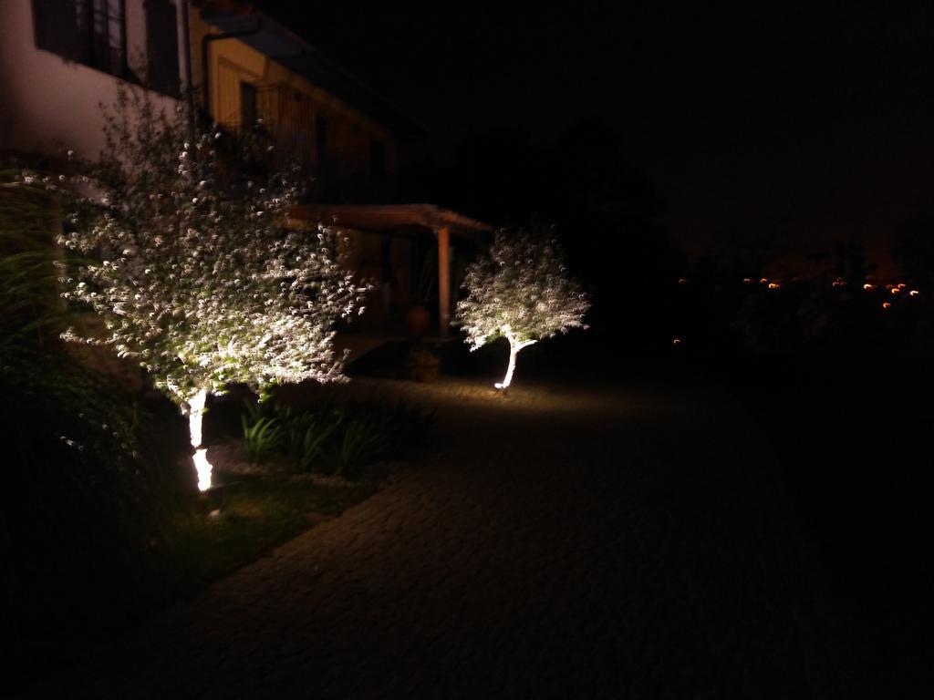 Вілла Quinta Do Senhor Брага Екстер'єр фото