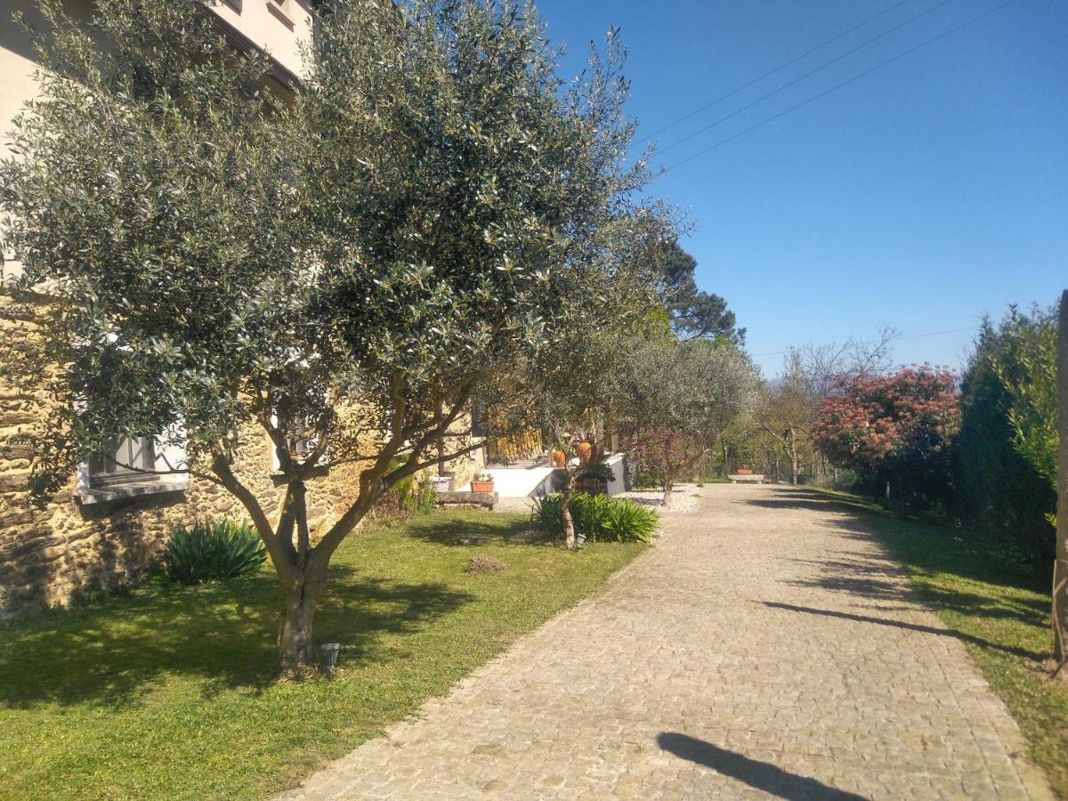 Вілла Quinta Do Senhor Брага Екстер'єр фото